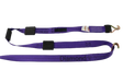 2" x 10' Ratchet Wheel Strap, 3,333 lb, Model A-2X11RWHRC-DW