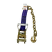 Heavy-Duty Ratchet Strap 2" x 30' Chain Ends, 3,333 lb, Model A-2X30RCE-DW